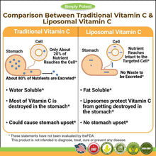 Simply Potent - 脂質體維他命C (1200毫克, 90日) Liposomal Vitamin C (1200mg)