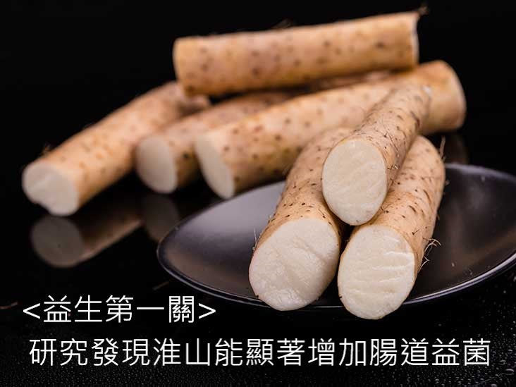 中草藥調節腸道菌——淮山 – HSK GeneTech