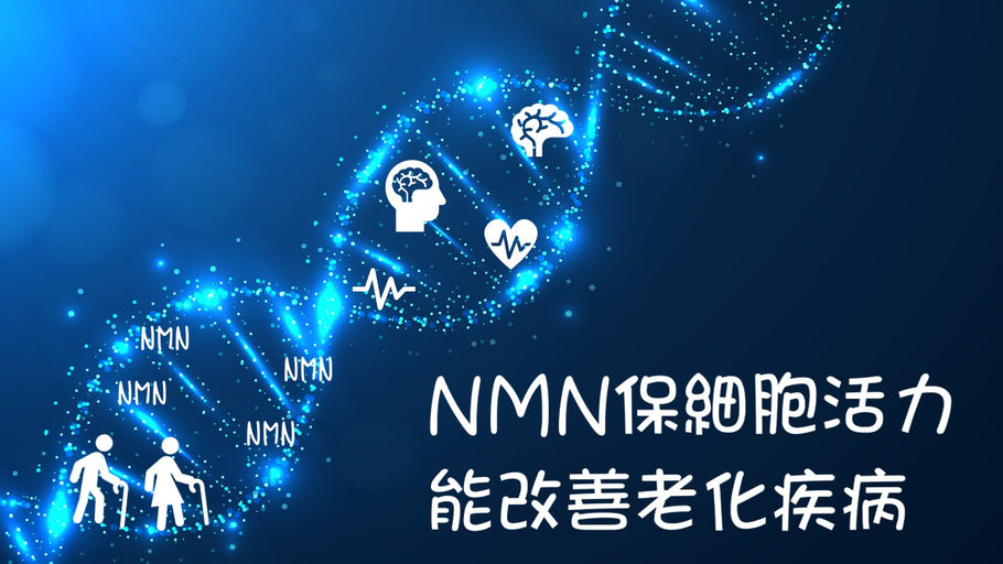 NMN保細胞活力 能改善老化疾病