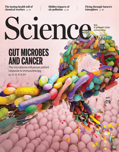 [2018年諾貝爾] 腸道微生物影響癌症免疫治療