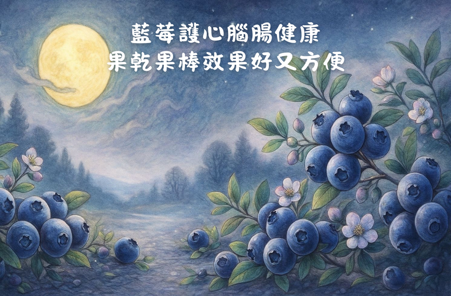 藍莓護心腦腸健康 果乾果棒效果好又方便