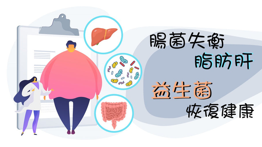 腸菌失衡脂肪肝 益生菌恢復健康
