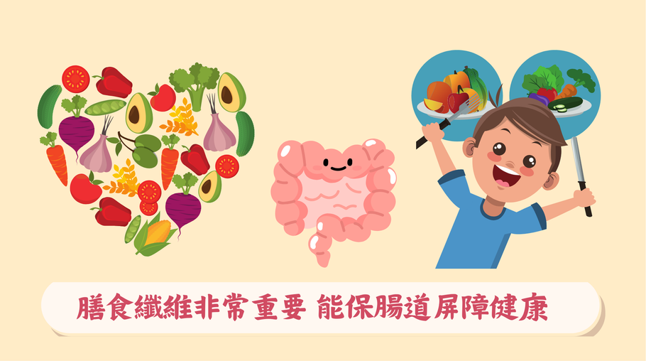 膳食纖維非常重要 能保腸道屏障健康