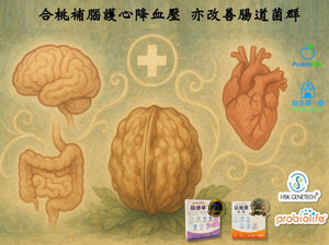 合桃補腦護心降血壓 亦改善腸道菌群
