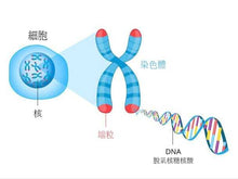 ProHealth LONGEVITY - 3瓶 NMN Pro 500 (NMN 15000) + 端粒長度分析 (醫藥級高純度)